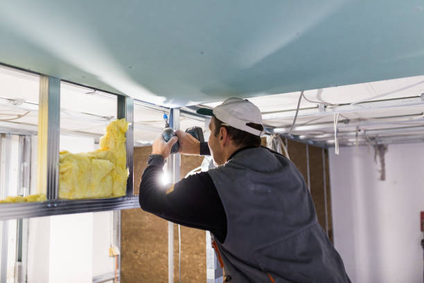 Best Residential Insulation Services  in St George, UT