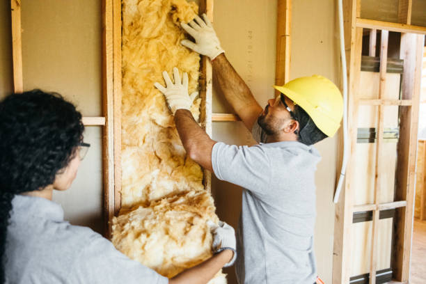 Best Soundproof Insulation Installation  in St George, UT
